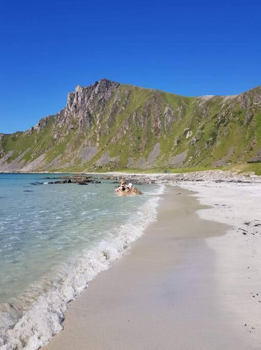 Apartament Fjosen - Bleik Beach Zewnętrze zdjęcie