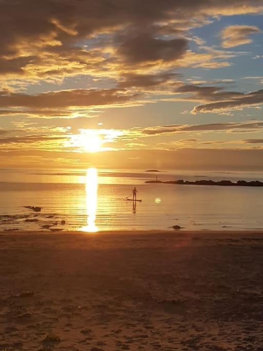 Apartament Fjosen - Bleik Beach Zewnętrze zdjęcie
